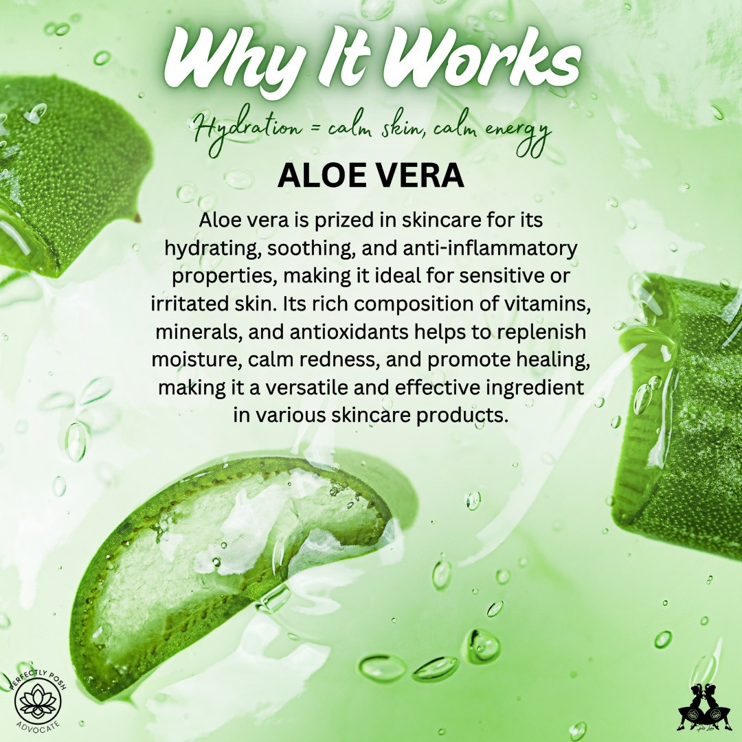 Aloe vera in your body wash isn't just a buzzword. 💜

It actually soothes, hydrates, and calms irritated skin while you cleanse. For sensitive or reactive skin? It's genuinely one of the best ingredients you can reach for.

Down with Dirty from @perfectlyposh has it, plus witch hazel, arnica, and rhodiola root. Watermint and lavender scent. Sulfate-free.

Your skin deserves this kind of quiet. Link in bio. 🤍

#janicaspamperedlife #perfectlyposh #downdirty #selfcareroutine #sensitiveskin