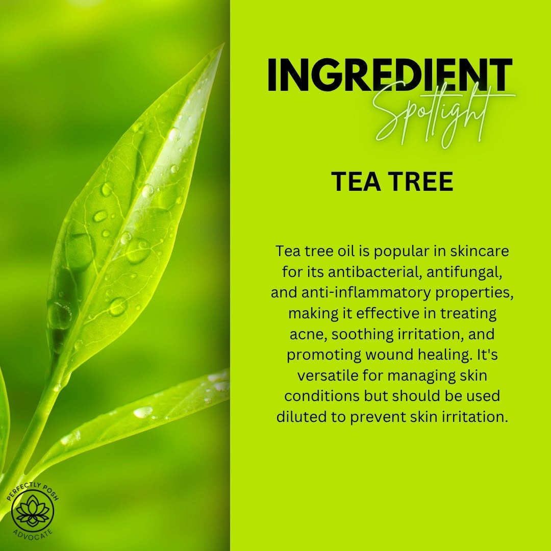 Ingredient of the week 🌿
Tea Tree Oil ~ the reason The Purifier works as well as it does.

Antibacterial. Anti~inflammatory. Antifungal. Basically the overachiever of the skincare world. 😄
Great for bug bites, irritated skin, and yes ~ pimples too. 🤍

#IngredientSpotlight #TeaTree #ThePurifier #PerfectlyPosh #CampPosh #NaturalSkincare